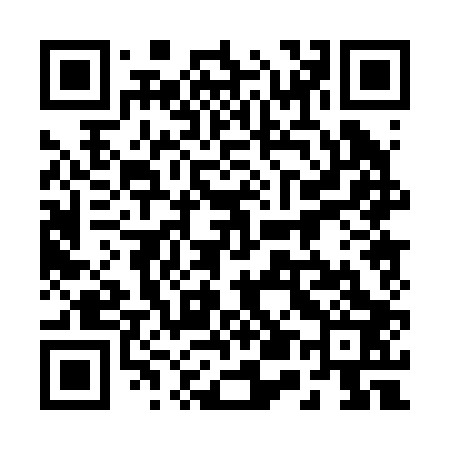 QR code for 250203