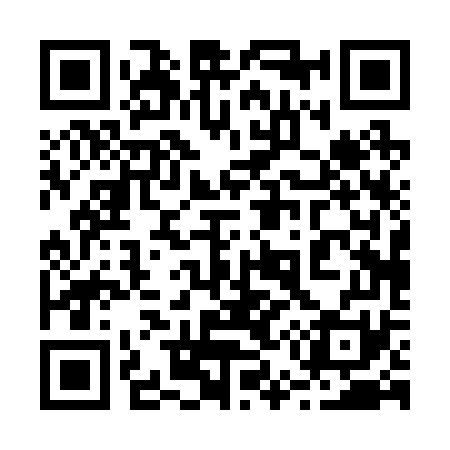 QR code for 250271