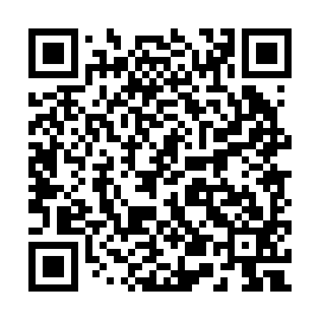 QR code for 250293