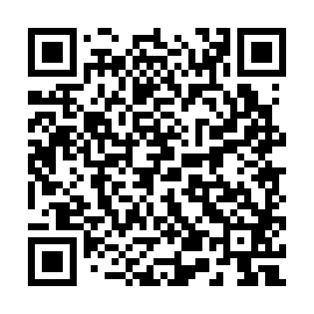 QR code for 250382