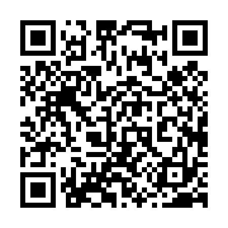 QR code for 250433