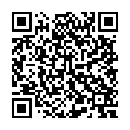 QR code for 250503