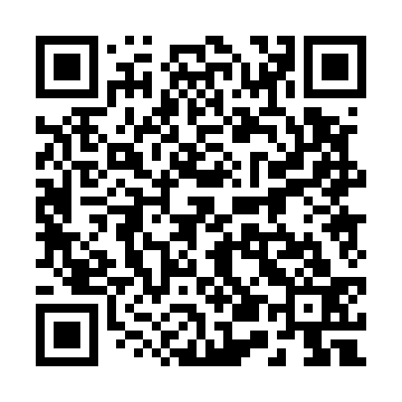 QR code for 250533
