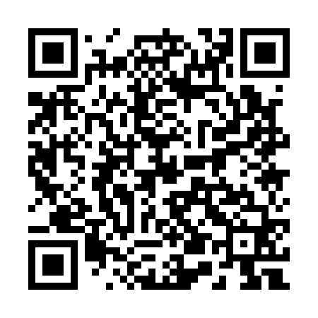 QR code for 251160