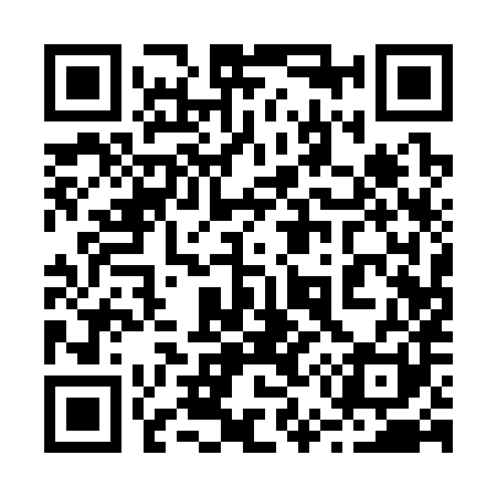QR code for 251381