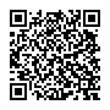 QR code for 252463
