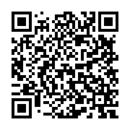 QR code for 252865