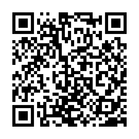 QR code for 253338