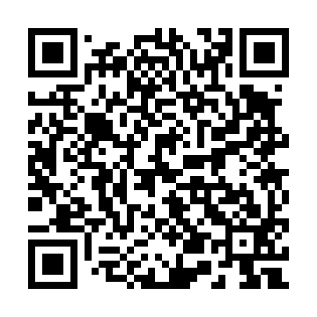 QR code for 253493