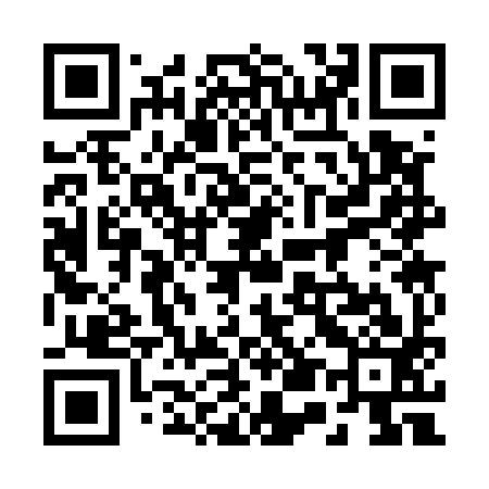 QR code for 253593
