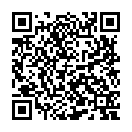QR code for 253933