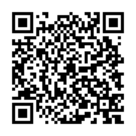 QR code for 254335