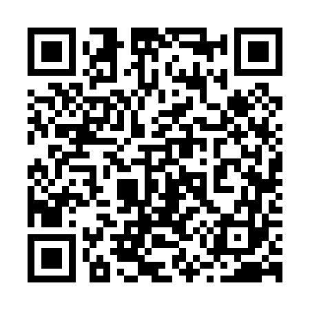QR code for 256063
