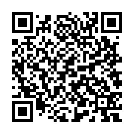 QR code for 256133