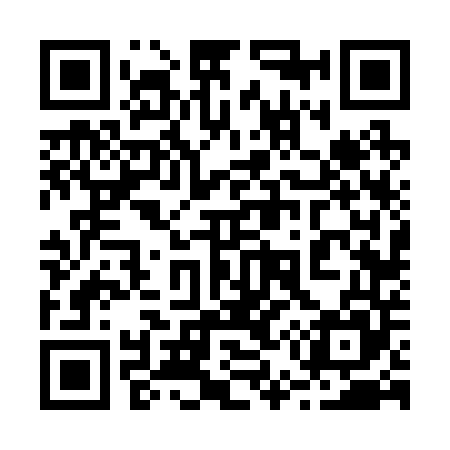 QR code for 256245