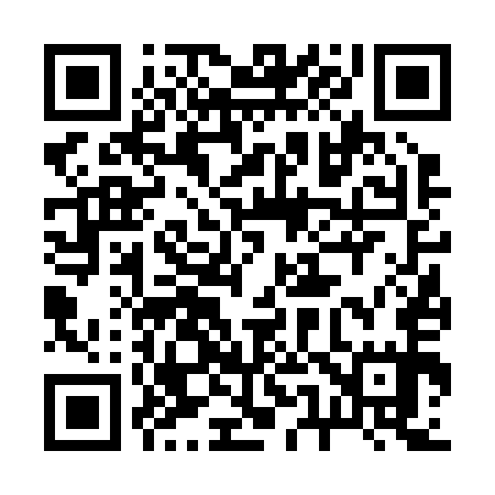 QR code for 256255