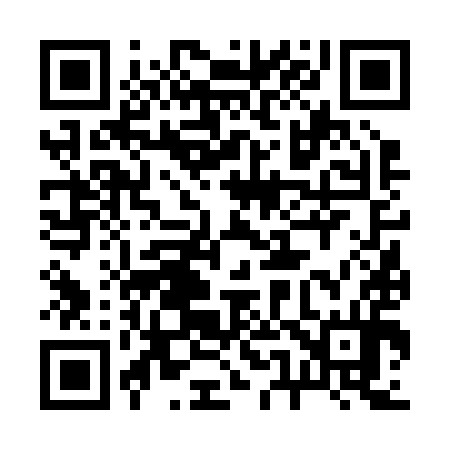 QR code for 256294