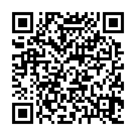 QR code for 256335