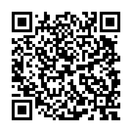 QR code for 256493