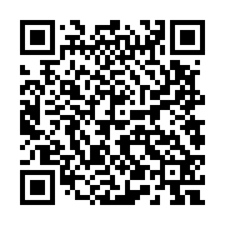 QR code for 256522