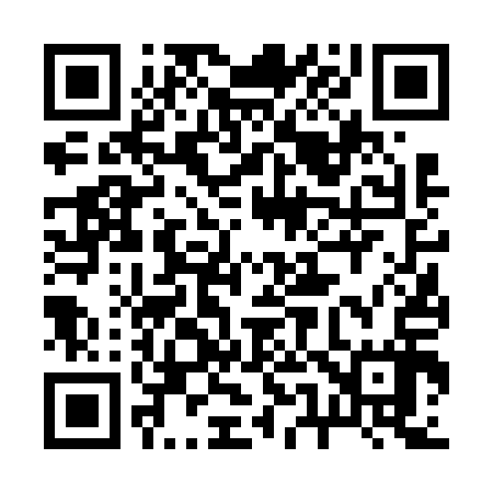 QR code for 256617