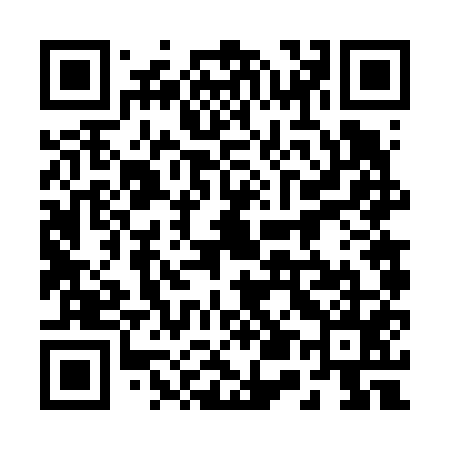 QR code for 256655