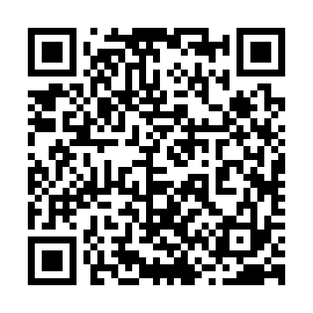 QR code for 262333