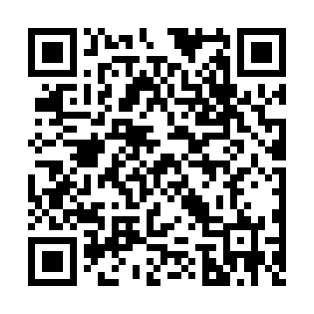 QR code for 272062