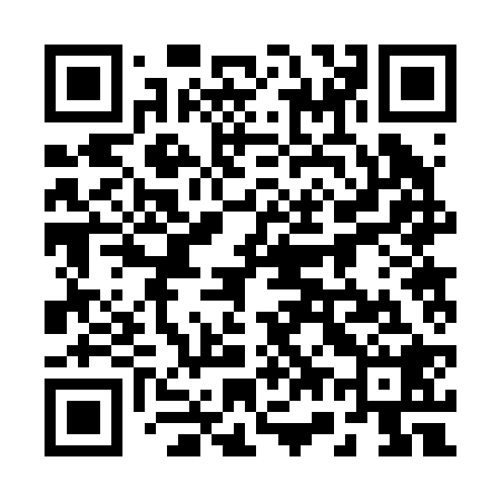 QR code for 272228