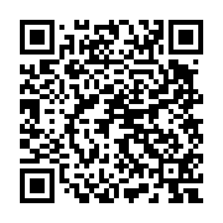 QR code for 272411