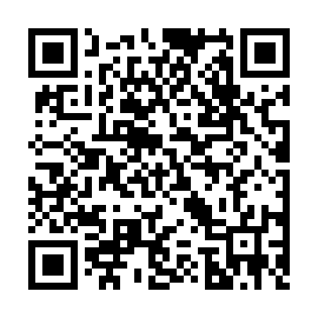 QR code for 272517