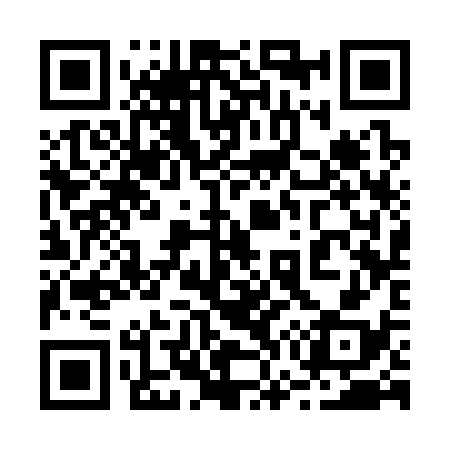 QR code for 273338