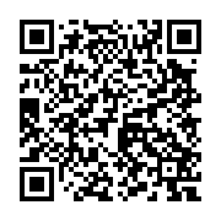 QR code for 290003