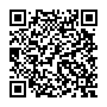 QR code for 290017