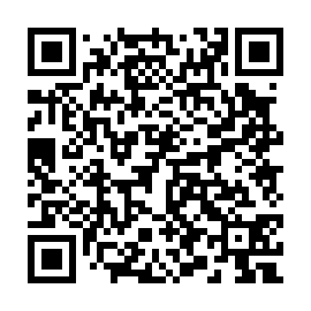 QR code for 290030