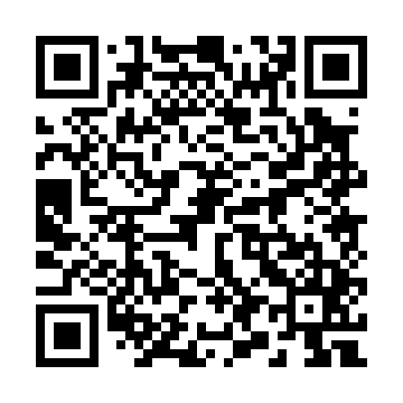 QR code for 290045