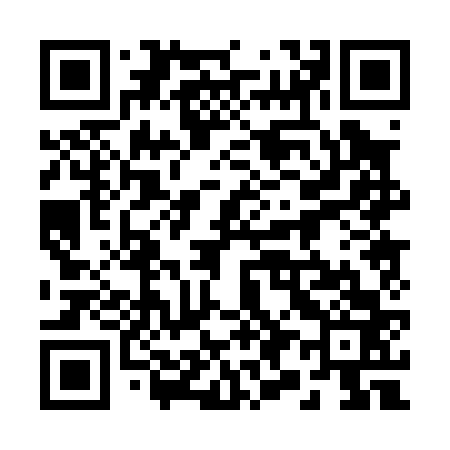 QR code for 290063