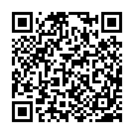 QR code for 290217