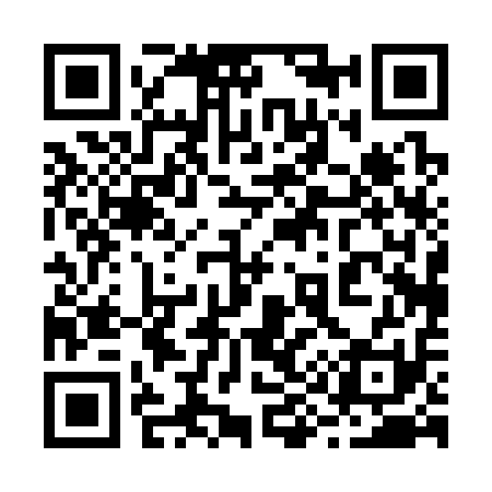 QR code for 290311