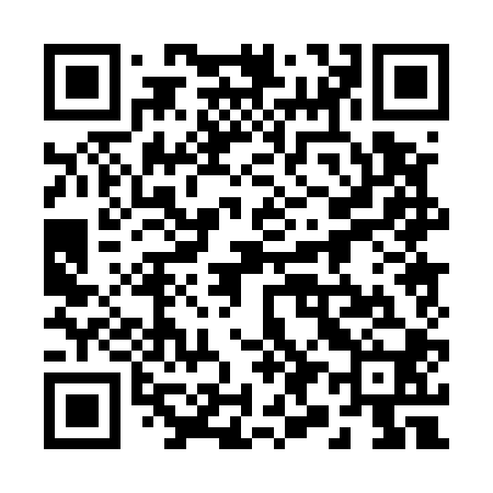 QR code for 290500