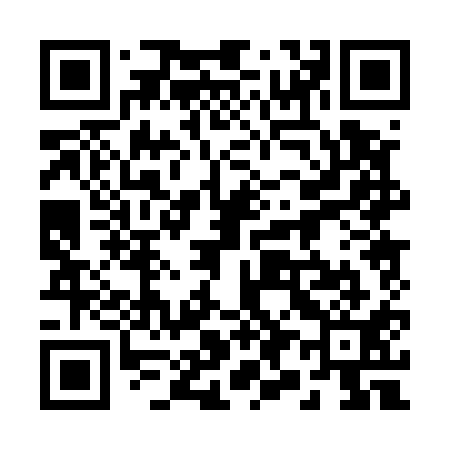 QR code for 290511