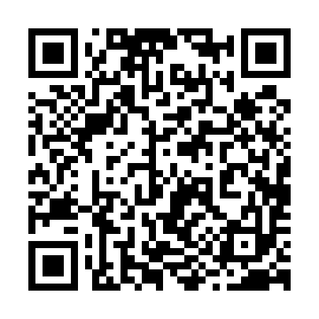 QR code for 290593