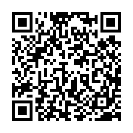QR code for 290617