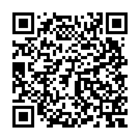 QR code for 290651