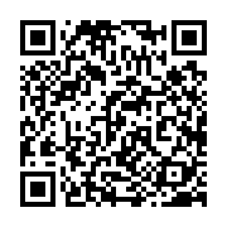 QR code for 290729