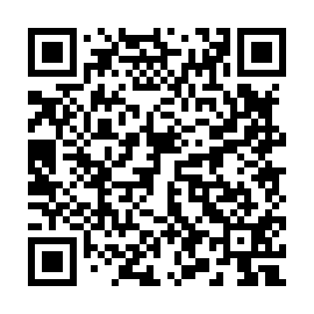 QR code for 290811