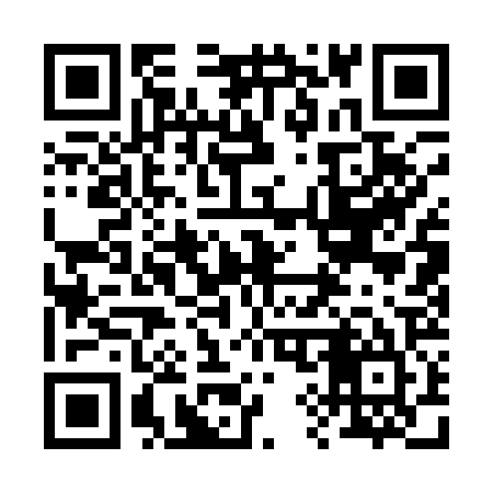 QR code for 291125