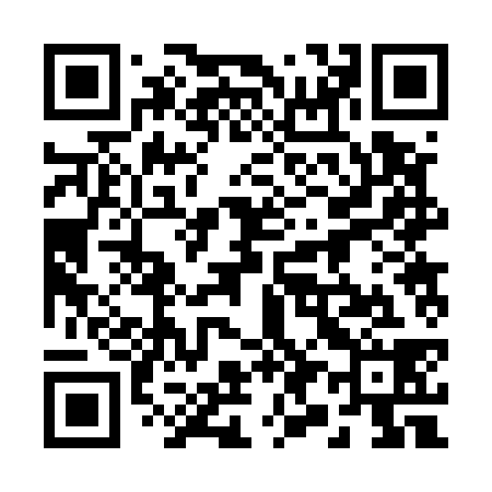 QR code for 292538