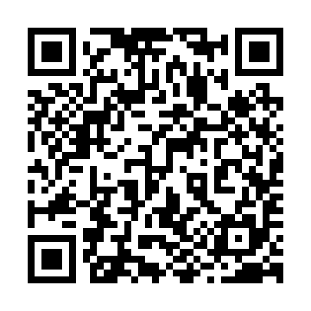 QR code for 293295