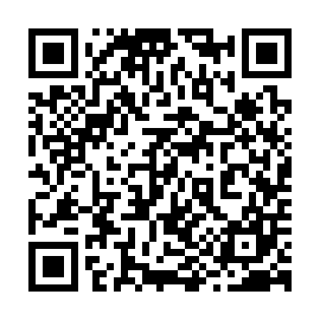 QR code for 293307